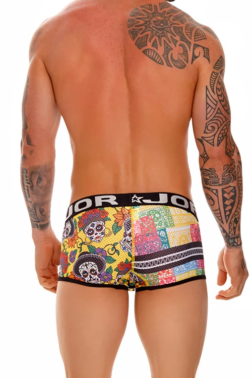 1648 GUADALUPE BOXER PRNTED 2 1648 GUADALUPE BOXER PRNTED - Imagen 2