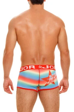 1752 PARTY BOXER PRINTED -Jor Ropa Interior Tienda 1752 PARTY BOXER PRINTED 2