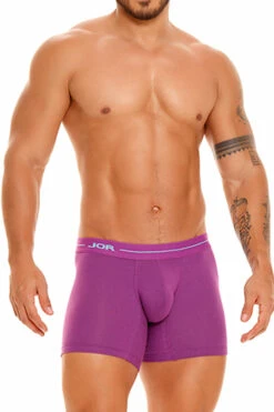 1834 DAILY LONG BOXER PURPLE