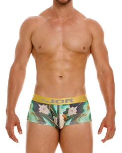 2080 DUBLIN BOXER PRINTED