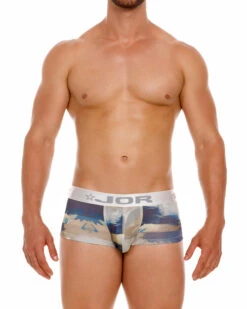 2086 IRISH BOXER PRINTED